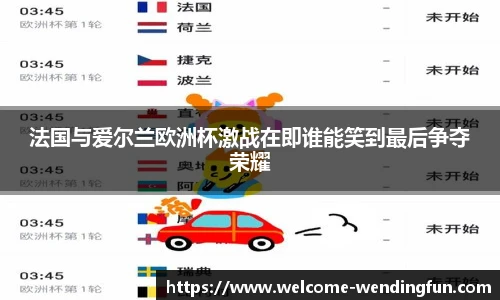 法国与爱尔兰欧洲杯激战在即谁能笑到最后争夺荣耀
